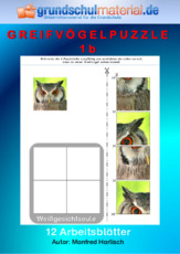 Greifvogelpuzzle_1b.pdf